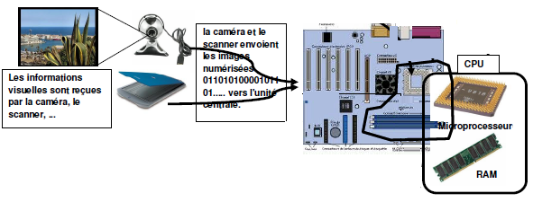 entrée des informations